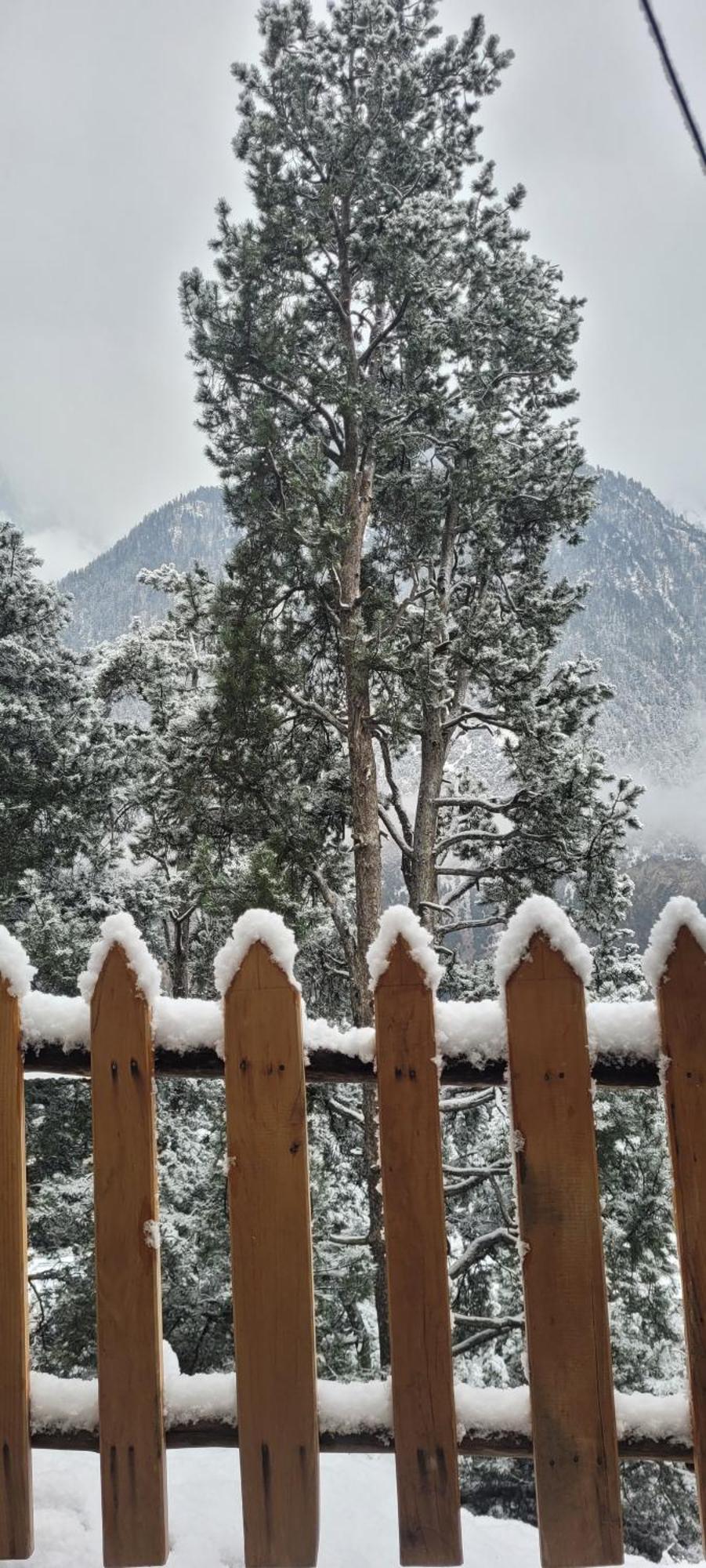 Rudra Homestays Калпа Екстериор снимка
